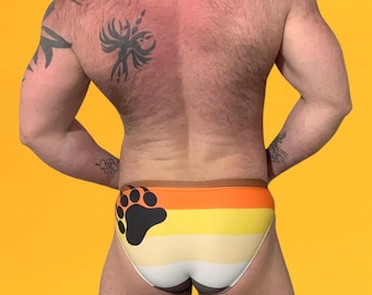 Bear Pride Flag Briefs: LGBTQ Gay Underwear