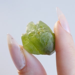 Raw Natural Peridot Gems! Perfect gift for Leo or Virgo. Peridot is the August Birthstone!