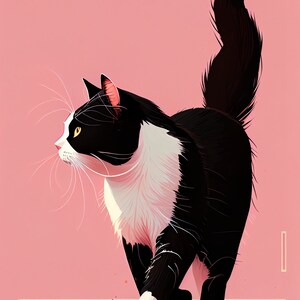 May include: A stylized illustration of a black and white cat with yellow eyes, walking on a pink background. The cat has a white chest and face, with long white whiskers. The cat's tail is arched, and its paws are visible.