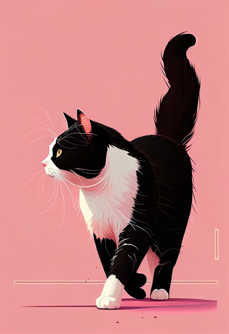 May include: A stylized illustration of a black and white cat with yellow eyes, walking on a pink background. The cat has a white chest and face, with long white whiskers. The cat's tail is arched, and its paws are visible.