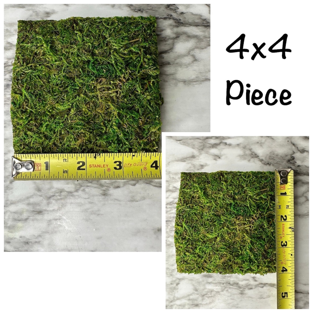 Sphagnum Moss Mat 2 Sizes Available Etsy