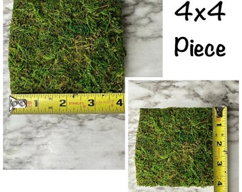 Sphagnum moss mat - 2 sizes available