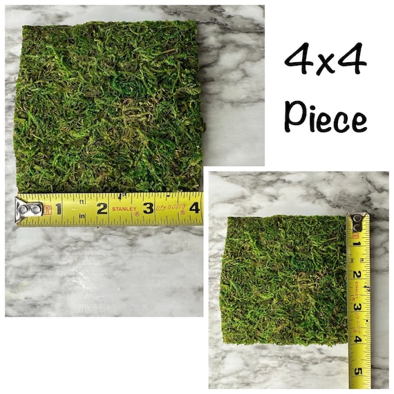 Sphagnum Moss Mat 2 Sizes Available 