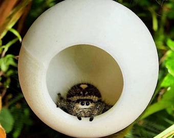 Escondite de bola impreso en 3D / Decoración de recinto magnético para araña saltadora