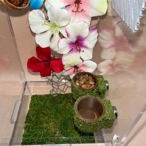 Moss covered feeder dish