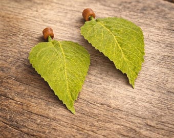 Set of 2 Leaf Ledge for Jumping Spider | Spider Enclosure Decor | Spider Habitat Decor | Magnetic Enclosure Decor