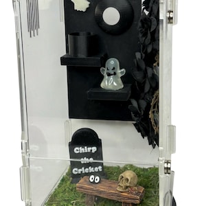 Spooky magnetic climbing wall for jumping spider enclosure. Fits 3x6 or larger enclosure.