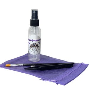 Jumping spider starter kit
