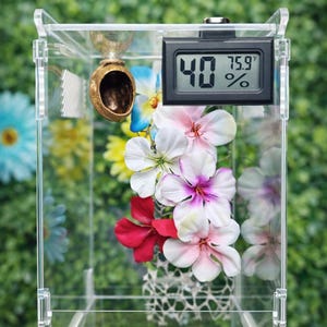 Mini medidor eletrônico digital de temperatura e umidade com LED | Habitat para aranhas | Itens essenciais para terrários de aranhas