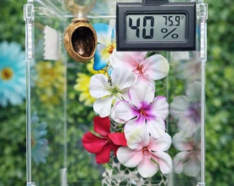 Mini LED Digital Electronic Temperature Humidity Meter | Spider Habitat | Spider Enclosure Essentials