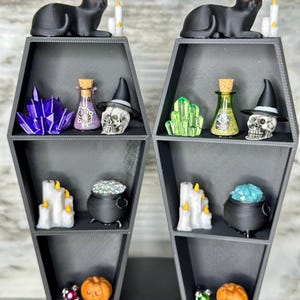 Magnetic decorated coffin shelf for jumping spider enclosure - large