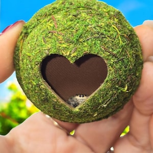 Aan de zijkant hangende moshuid