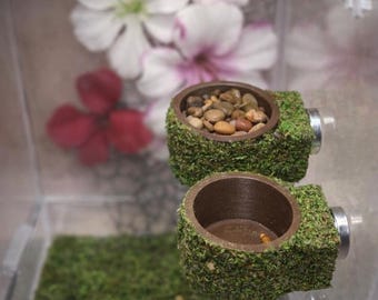 Mossy Jumping Spider Feeding Dish | Spider Feeder Bowl | Enclosure Decor Accessory