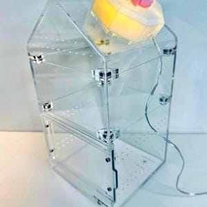 Magnetic USB plug in LED dome light for jumping Spider enclosure