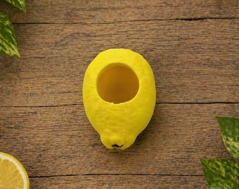 Lemon Hide | Magnetic Jumping Spider Enclosure Decor