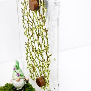 Geweven moslint met magnetische clips | Decoratie springspin | Terrariumaccessoire