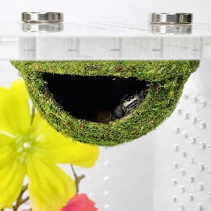 Hanging Moss Hide for Jumping Spider | Spider Enclosure Decor | Natural Look Arachnid Hide | 3D Printed Spider Habitat