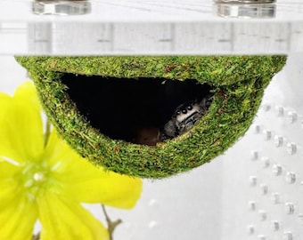Hanging Moss Hide for Jumping Spider | Spider Enclosure Decor | Natural Look Arachnid Hide | 3D Printed Spider Habitat