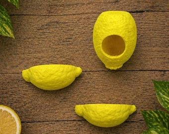 Lemon Decor Set for Jumping Spider | Spider Hide & Ledges | Magnetic Enclosure Accessories