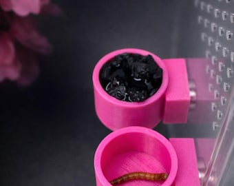 Jumping Spider Feeder Dishes | Spider Feeding Bowls | 41 Color Choices | Enclosure Accessory