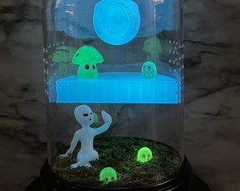 Pre drilled GLOW  juvenile/small adult jumping spider dome enclosure