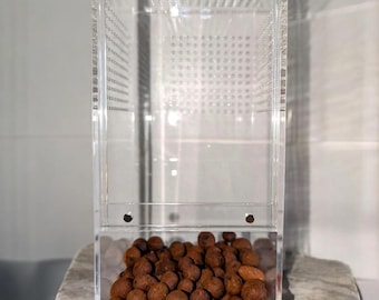 Bolas de arcilla LECA para terrarios de arañas saltarinas / Sustrato para terrarios de arañas / Hábitat para arañas / Elementos esenciales para terrarios de arañas