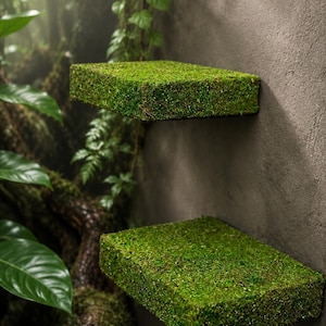 May include: Two rectangular wall-mounted shelves covered in a dense layer of vibrant green moss. The shelves are positioned one above the other, featuring a flat top surface and straight edges, creating a textured, organic appearance on the wall.
