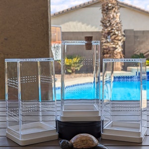 Stackable pre drilled adult jumping spider enclosure