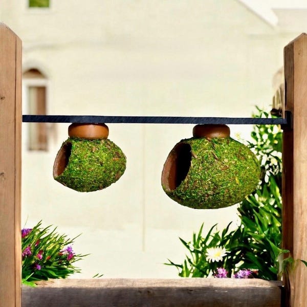 Cocoon Hide | Jumping Spider Enclosure Decor