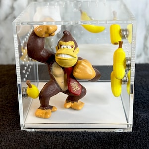 Donkey Kong jumping spider enclosure