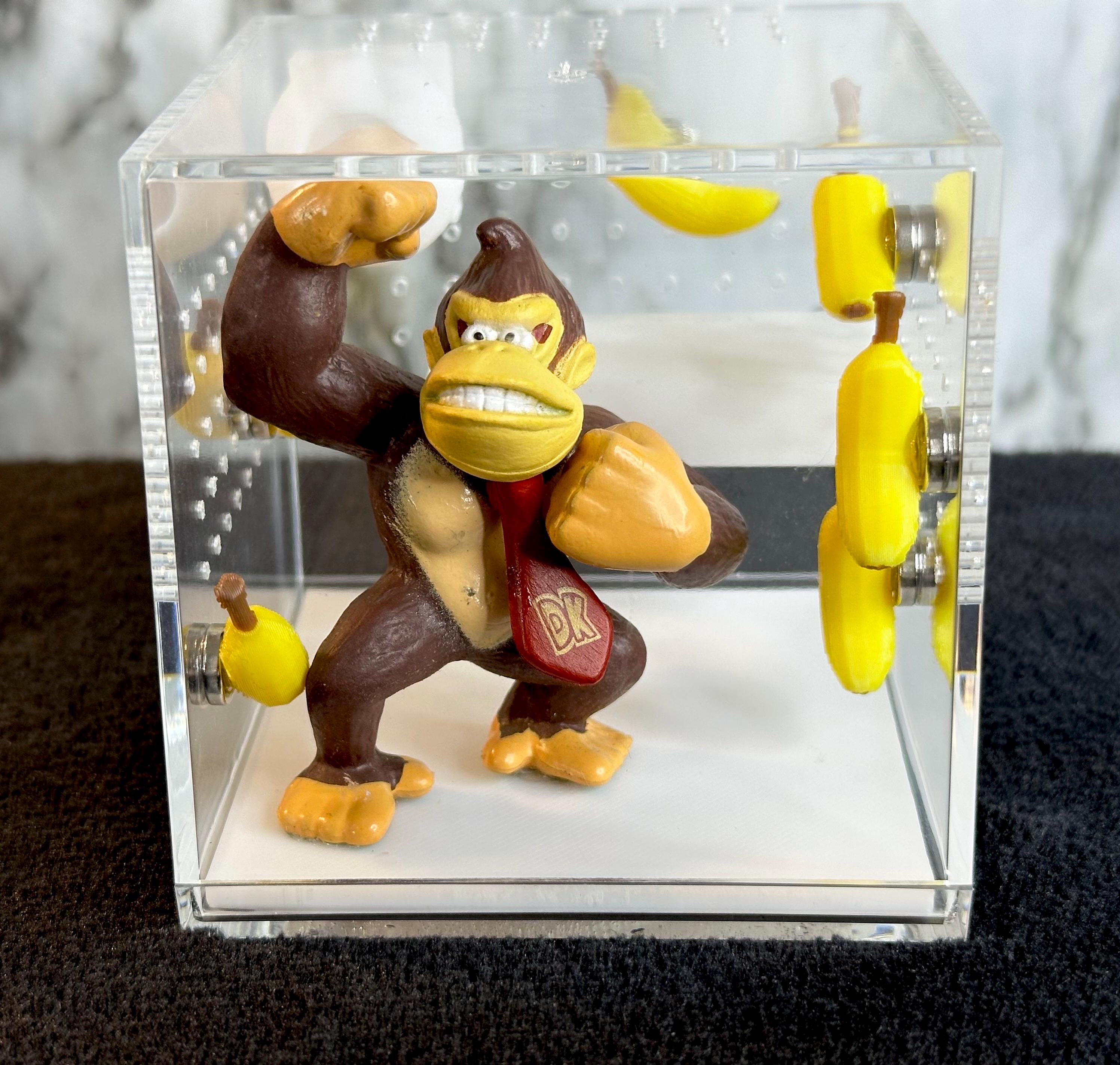 Donkey Kong jumping spider enclosure