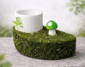 Mossy Jumping Spider Ledge with Feeder Dish | Enclosure Decor | Arboreal Spider Accessory
