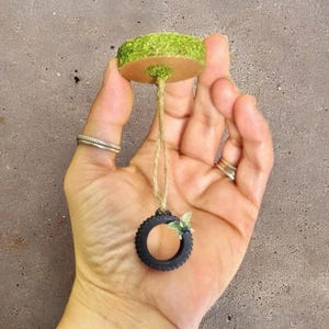 Jumping spider tire swing