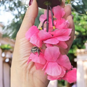 Palestra sospesa con ragno a forma di fiore di ciliegio / Area giochi per esercizi con ragno saltatore / Accessori per ragni