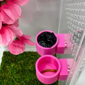 Feeder dishes - 18 color choices