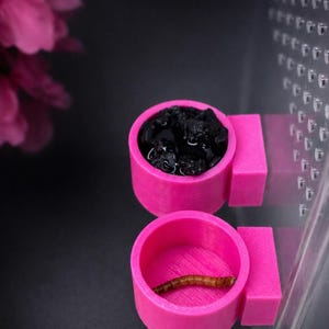 Puede incluir: Dos cuencos de alimentación cilíndricos de color rosa brillante fijados a una superficie transparente perforada. El cuenco superior contiene rocas oscuras y porosas, mientras que el inferior contiene un gusano de la harina marrón claro.