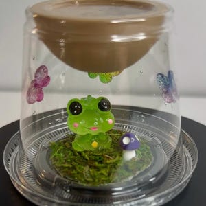 Sling jumping spider temporary home
