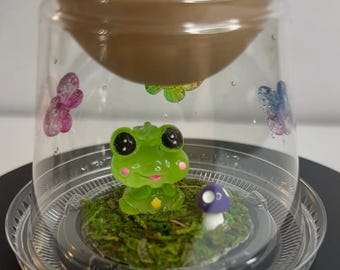 Sling jumping spider temporary home