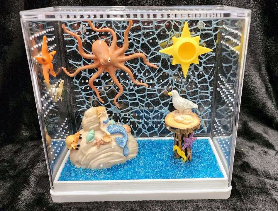 Made-to-order Cozy Cottage Jumping Spider Enclosure, Jumping