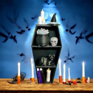 Magnetic Decorated Coffin Shelf Decor | Jumping Spider Enclosure Accessory | Spider Terrarium Decoration