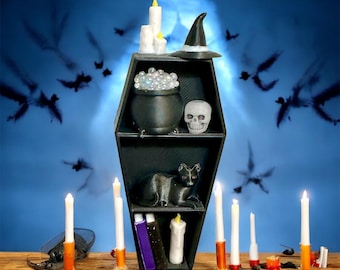 Estante magnético para ataúd decorado / Accesorio para recinto de arañas saltarinas / Decoración para terrario de arañas