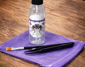 Jumping Spider Starter Kit | Spider Care Kit | Pet Spider Setup | Spider Enclosure Essentials