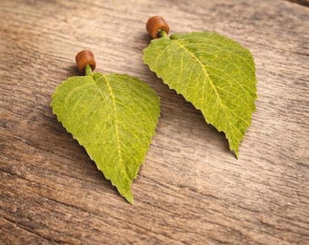 May include: A pair of earrings featuring two green, heart-shaped leaves with visible veins. Each leaf is attached to a small, cylindrical brown bead at the stem, creating a natural look. The earrings are displayed as individual pieces.