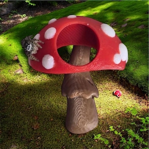 Mushroom hide for jumping spider