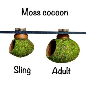3d printed cocoon hide for jumping spider