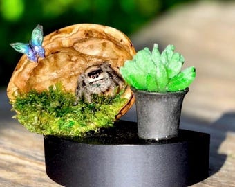 KORTING Walnotenhouten loungebank voor springspin | Decoratie spinnenbehuizing | Decoratie spin leefgebied | Magnetisch omhulseldecor