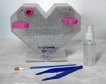 Heart Shaped Jumping Spider Enclosure | Starter Kit & Decor Bundle Included | Spider Habitat