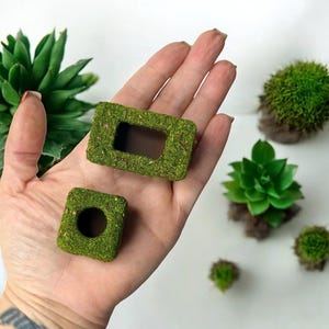 Puede incluir: Dos pequeños bloques decorativos cubiertos de musgo, uno rectangular y otro cuadrado, con aberturas oscuras. Los bloques se sostienen en una mano, con pequeñas plantas suculentas y bolas de musgo en el fondo. Los bloques son de un verde vibrante.