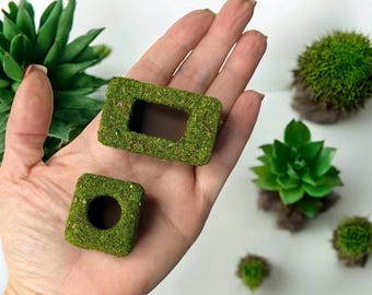Moss Box Hide for Jumping Spider | Spider Enclosure Decor | Natural Look Arachnid Hide | 3D Printed Spider Habitat