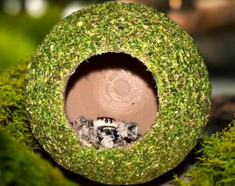 Moss Ball Hide for Jumping Spider | Spider Enclosure Decor | Natural Look Arachnid Hide | 3D Printed Spider Habitat